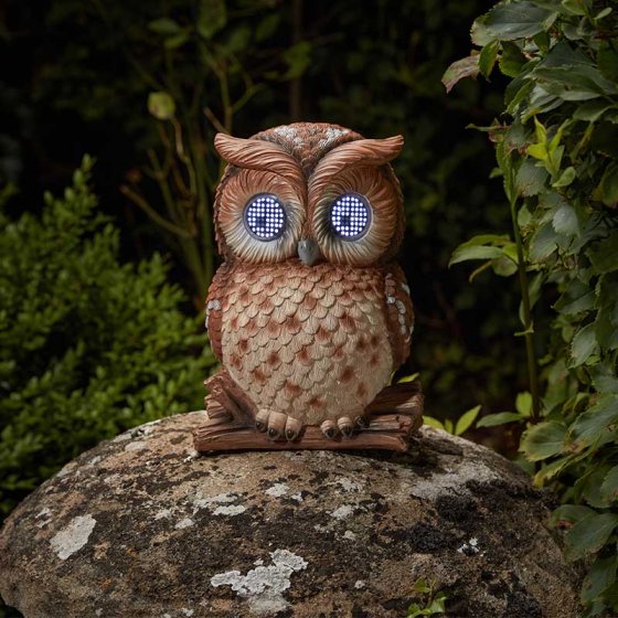 Blinkin Owl | 1020042