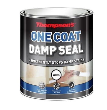 Thompson's One Coat Damp Seal White 250ml | 34577