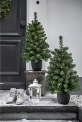 Led Imperial Potted Tree 120cm - Green Warm White | 680373