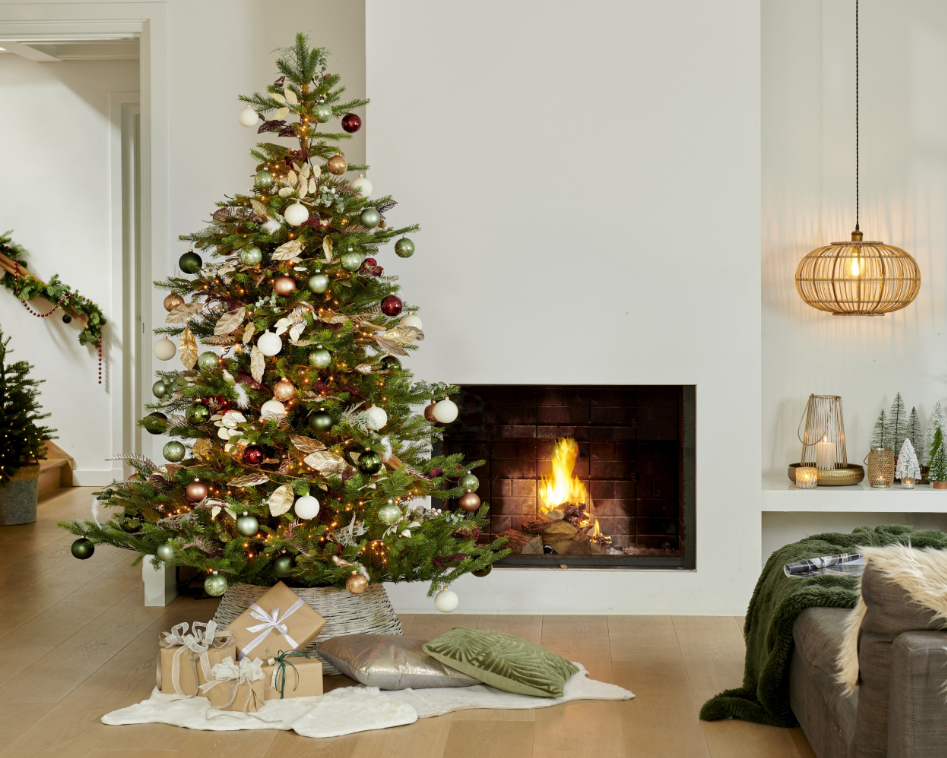 Grandis Fir 10ft Tree | 681454