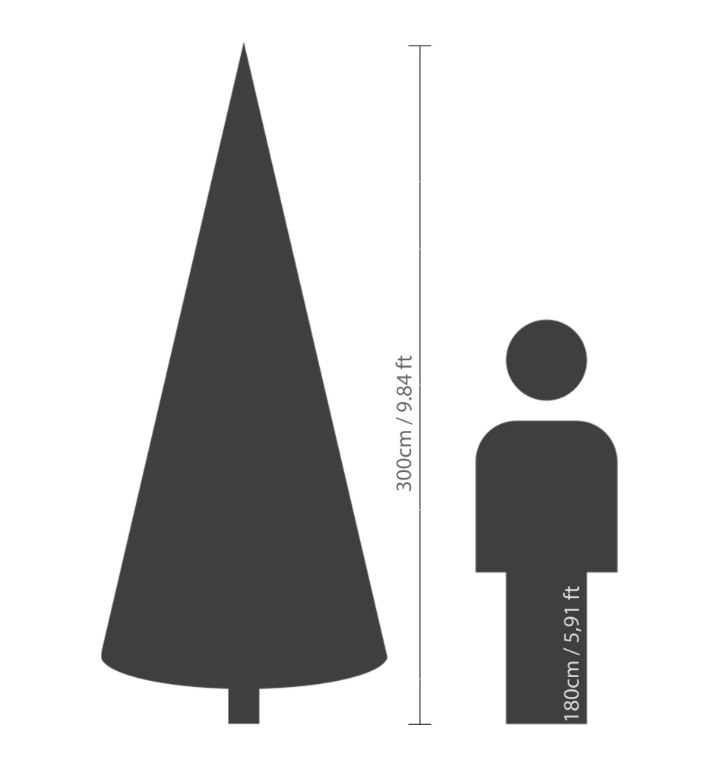 Grandis Fir 10ft Tree | 681454