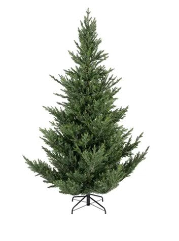 Norway Spruce 7ft Tree | 684815