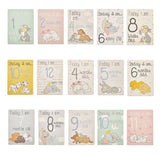 Disney Magical Beginnings Baby 30 Milestone Cards | DI330