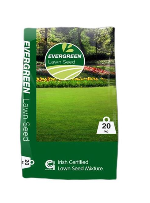 Leisure No.2 Lawn Seed