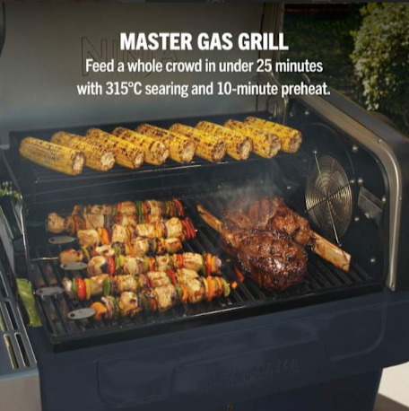 Ninja Flex Flame Outdoor BBQ Cooking System Blue & Gold | PG301UKBL
