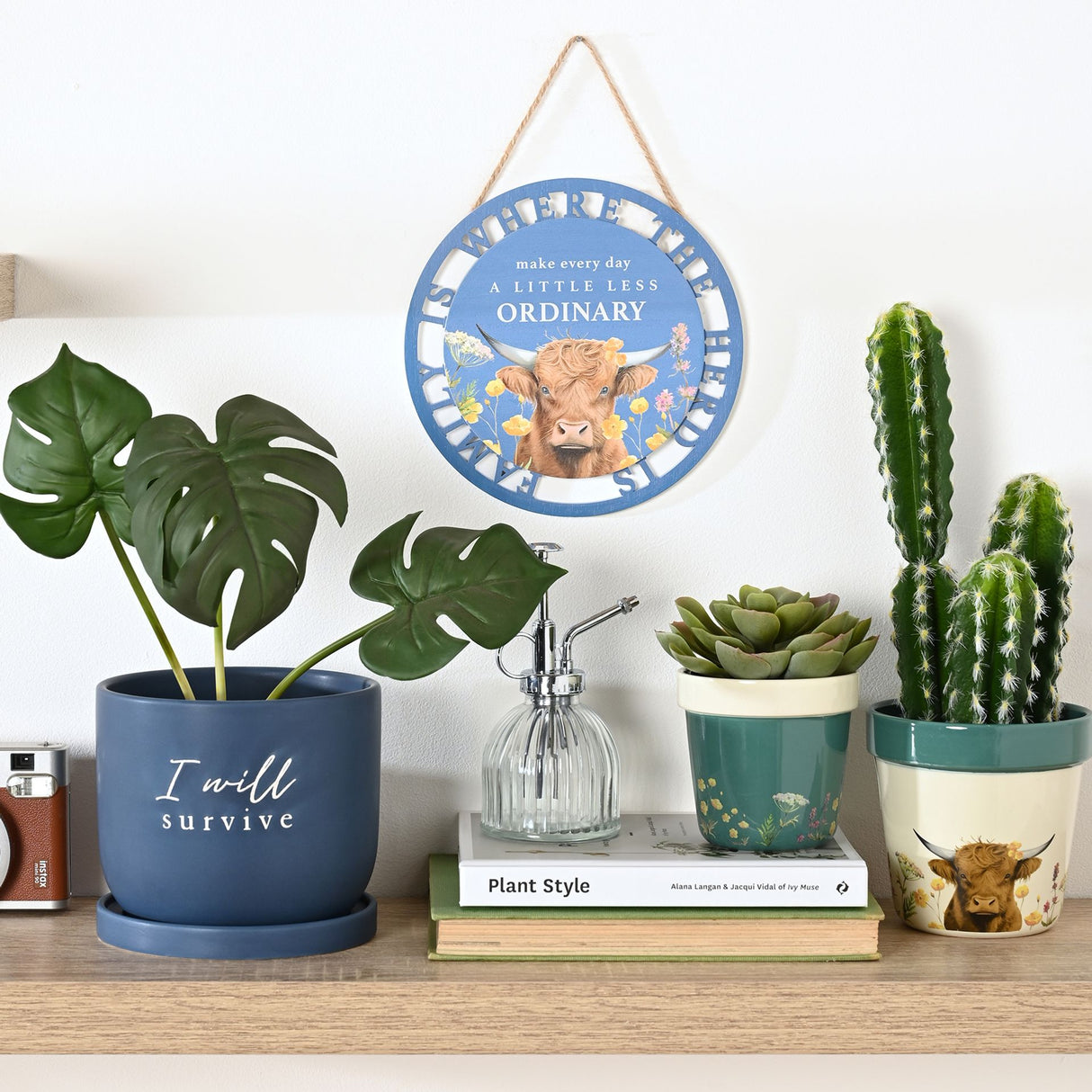 Country Living Set Of 2 Planters - Highland Cow | CL1366