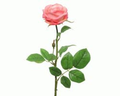 Silk Rose Open on Stem