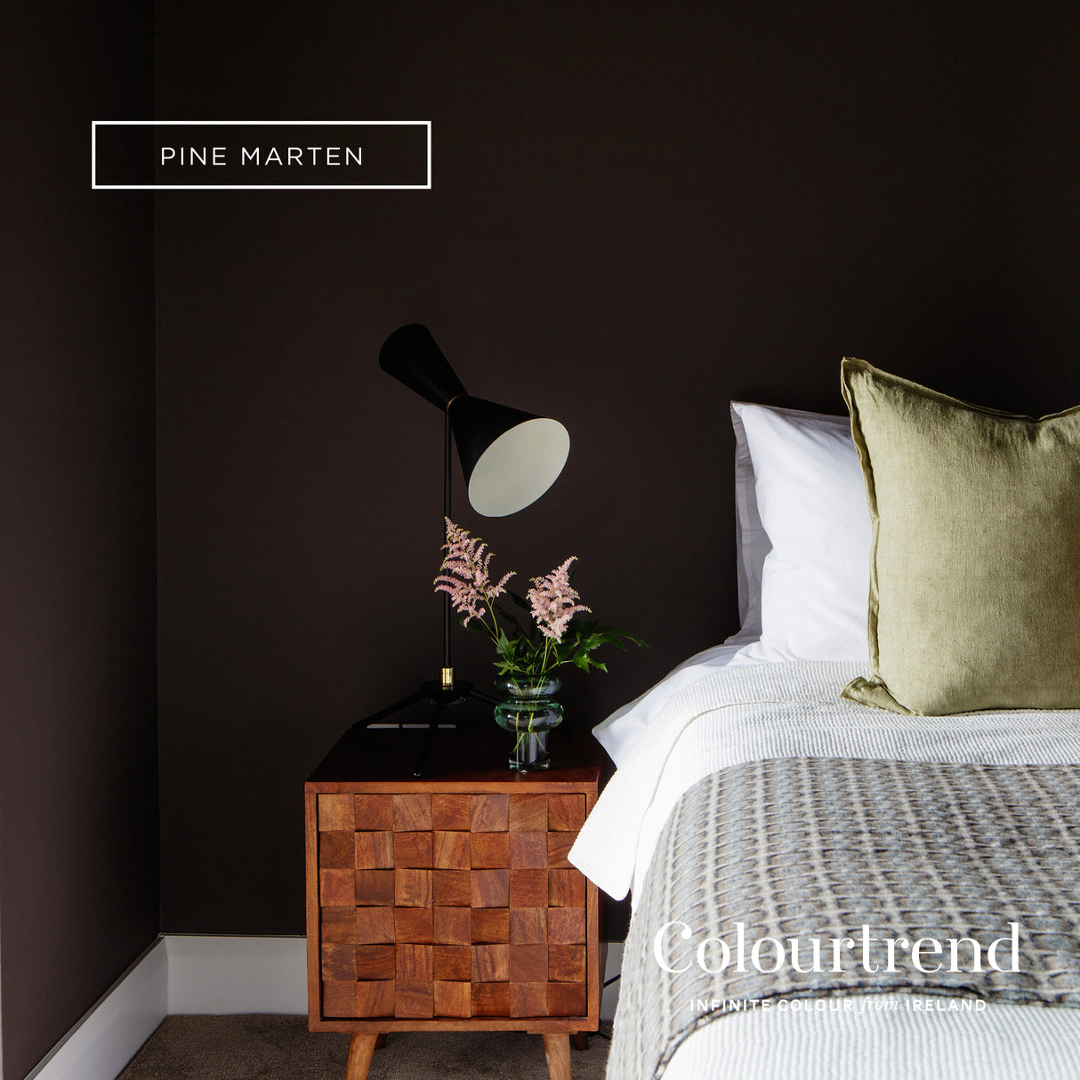 Colourtrend Contemporary Pine Marten