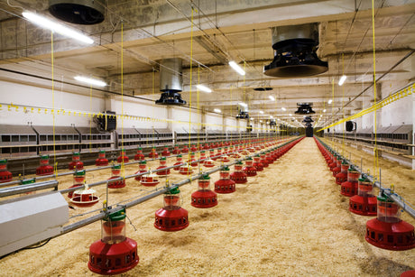 Farm Animal Equipment