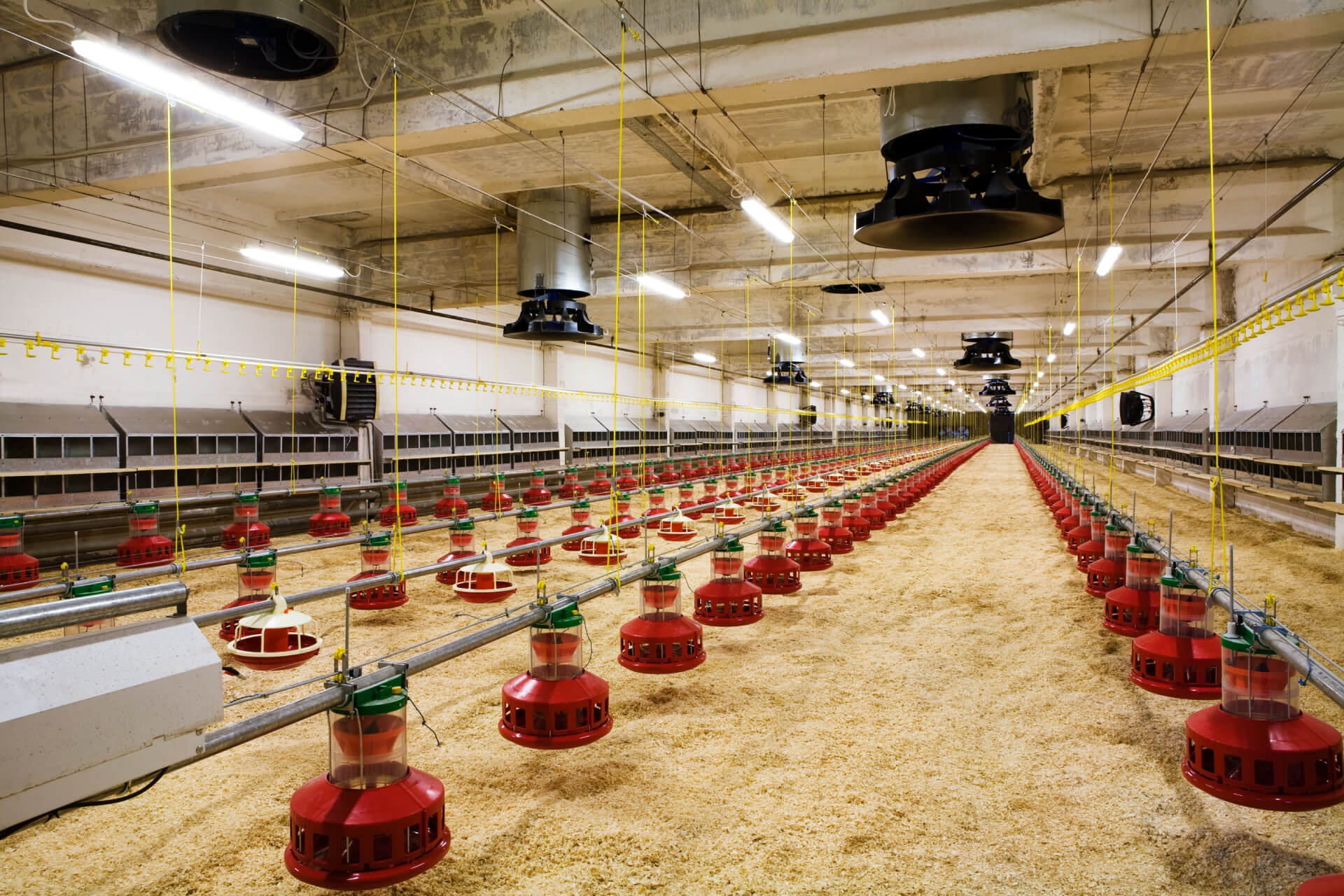 Farm Animal Equipment