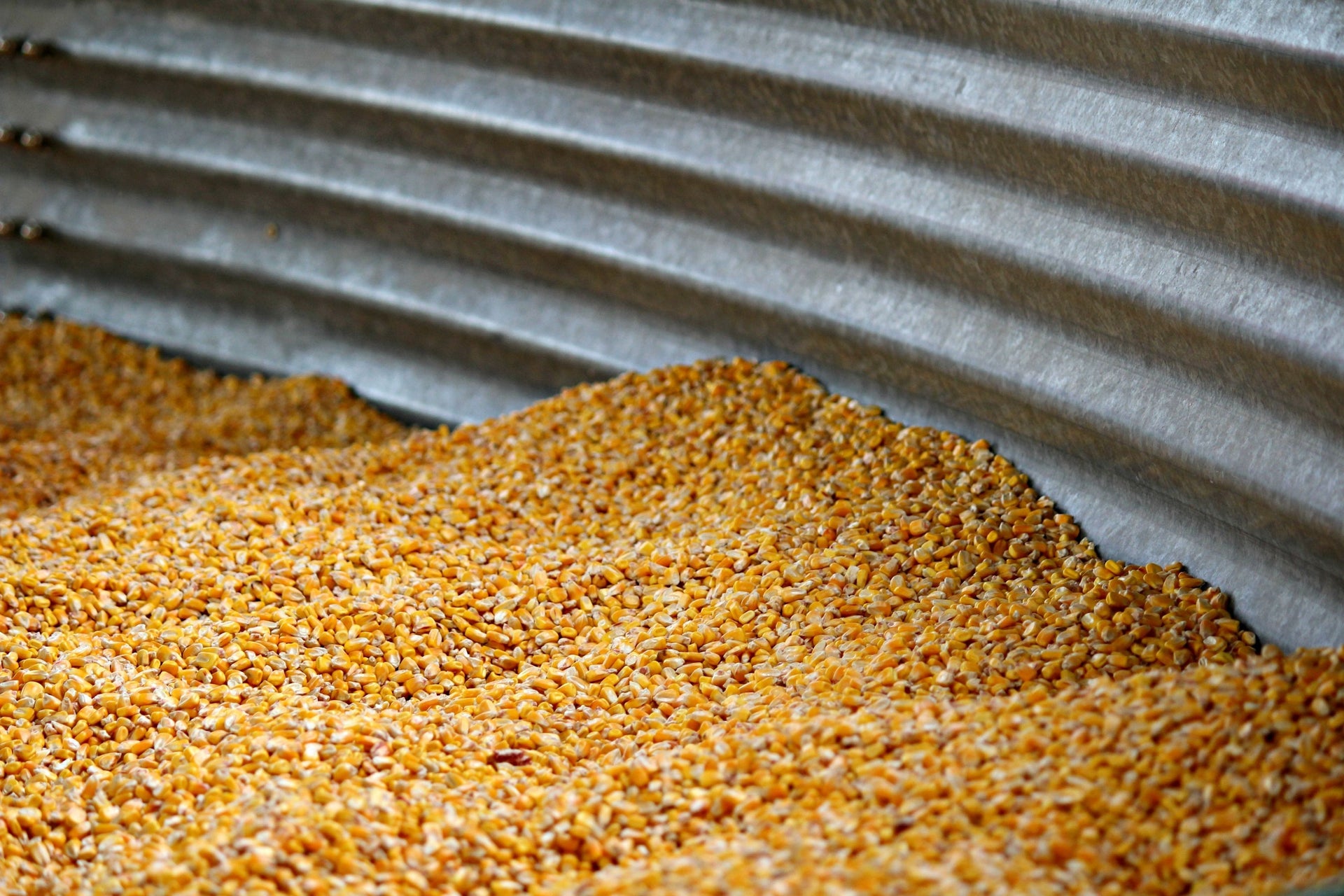 Farm Feeds