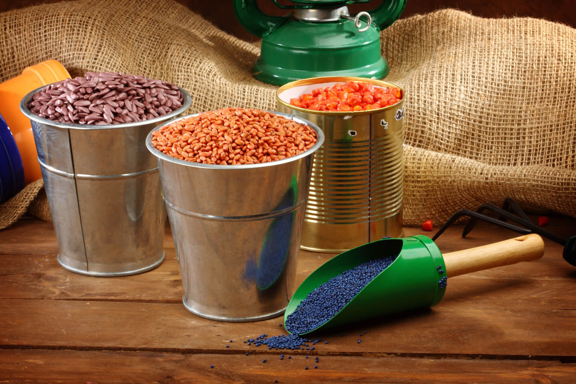 Farm Seeds & Grasses