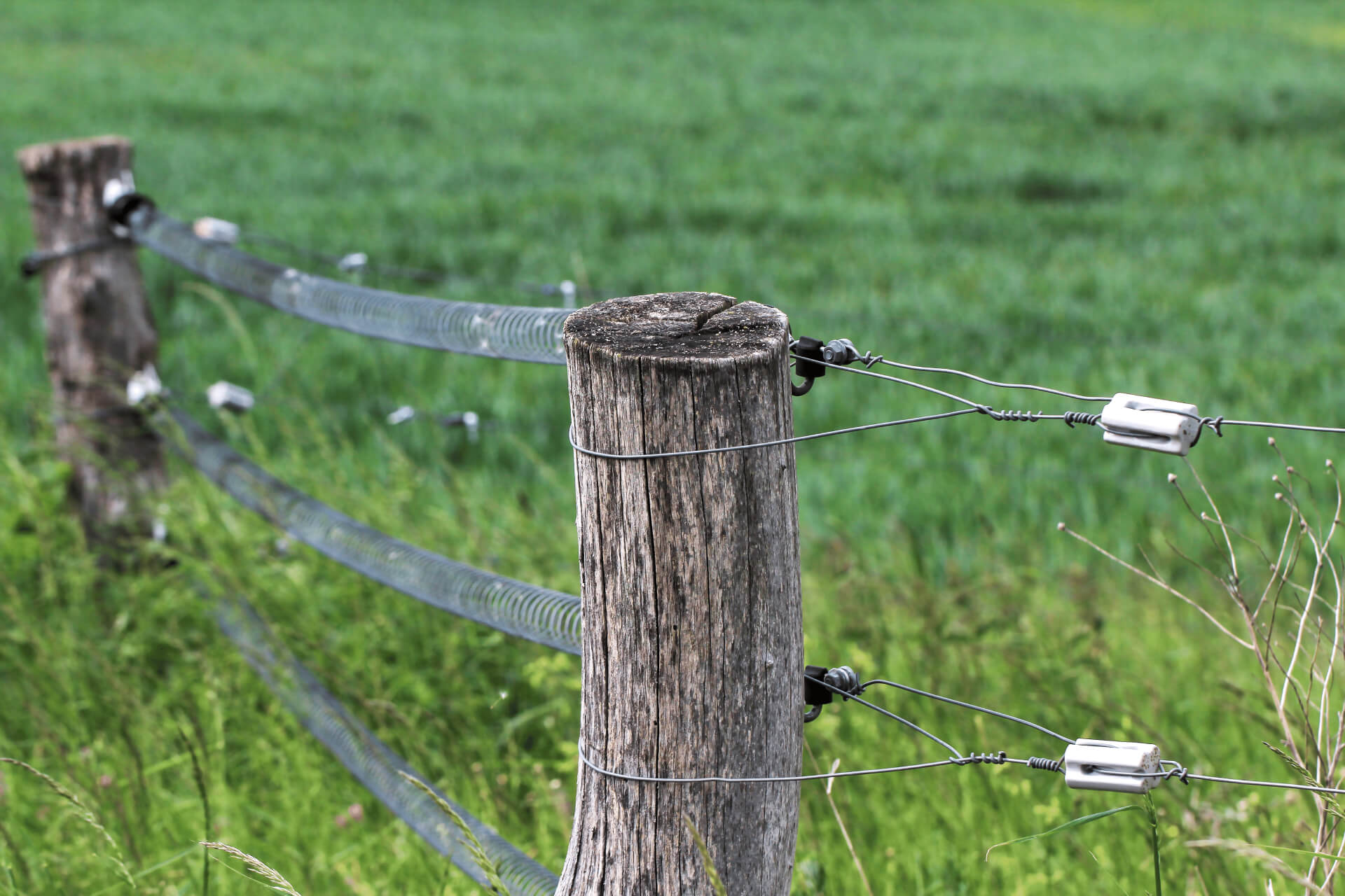 Electric Fencing & Accessories