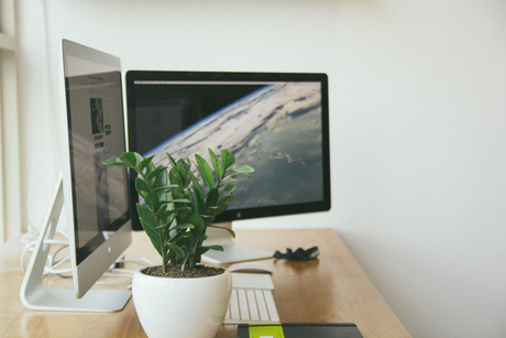 All in One Desktop/Monitors