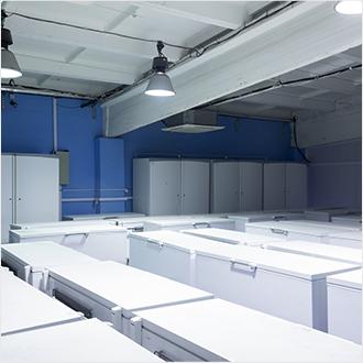 Chest Freezers