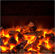 Coal & Briquettes