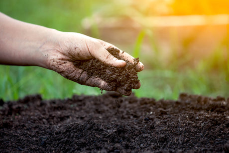 Compost, Topsoil & Mulch
