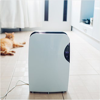 Dehumidifier