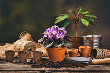 Garden Accessories