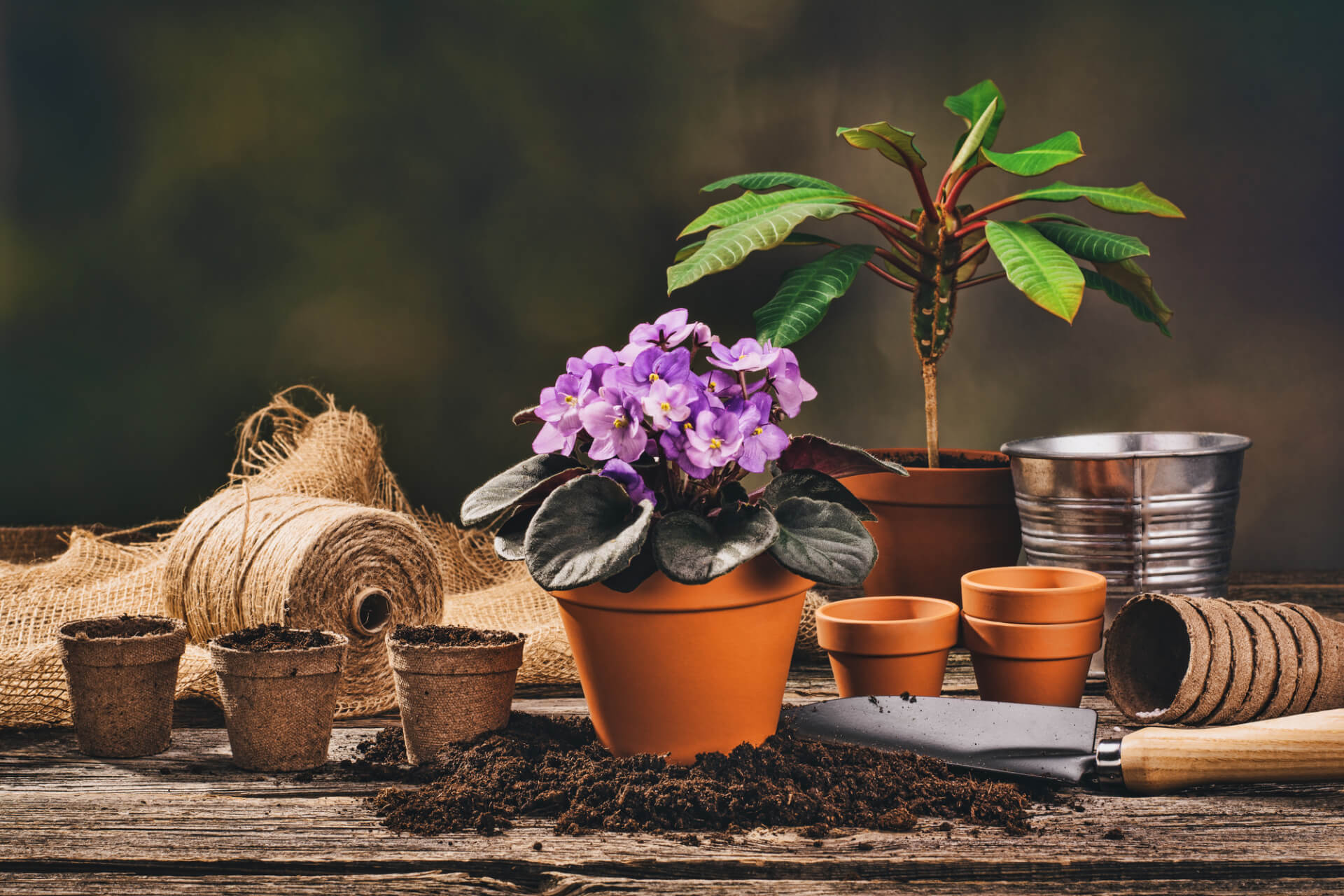 Garden Accessories