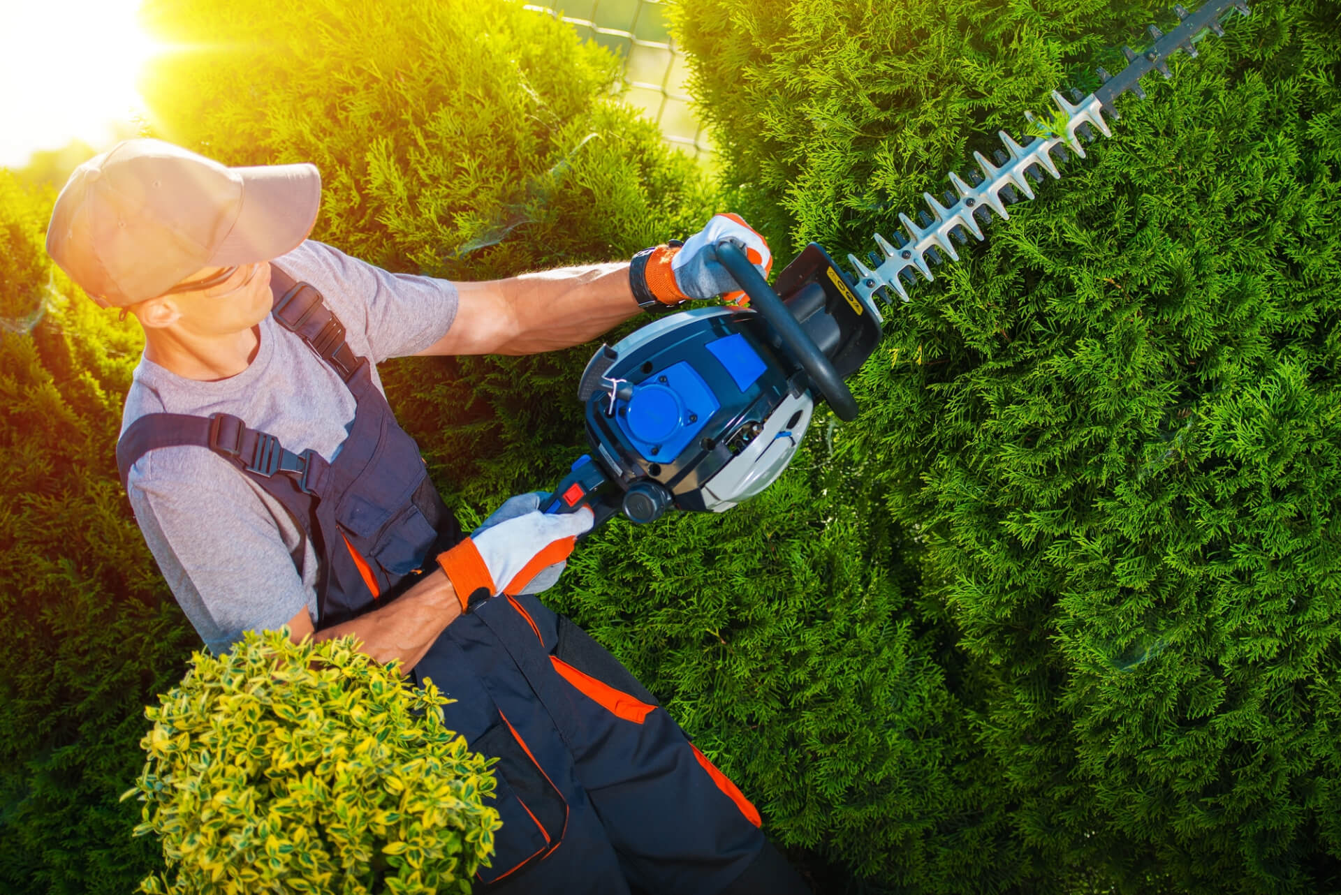 Garden Power Tools/Machinery