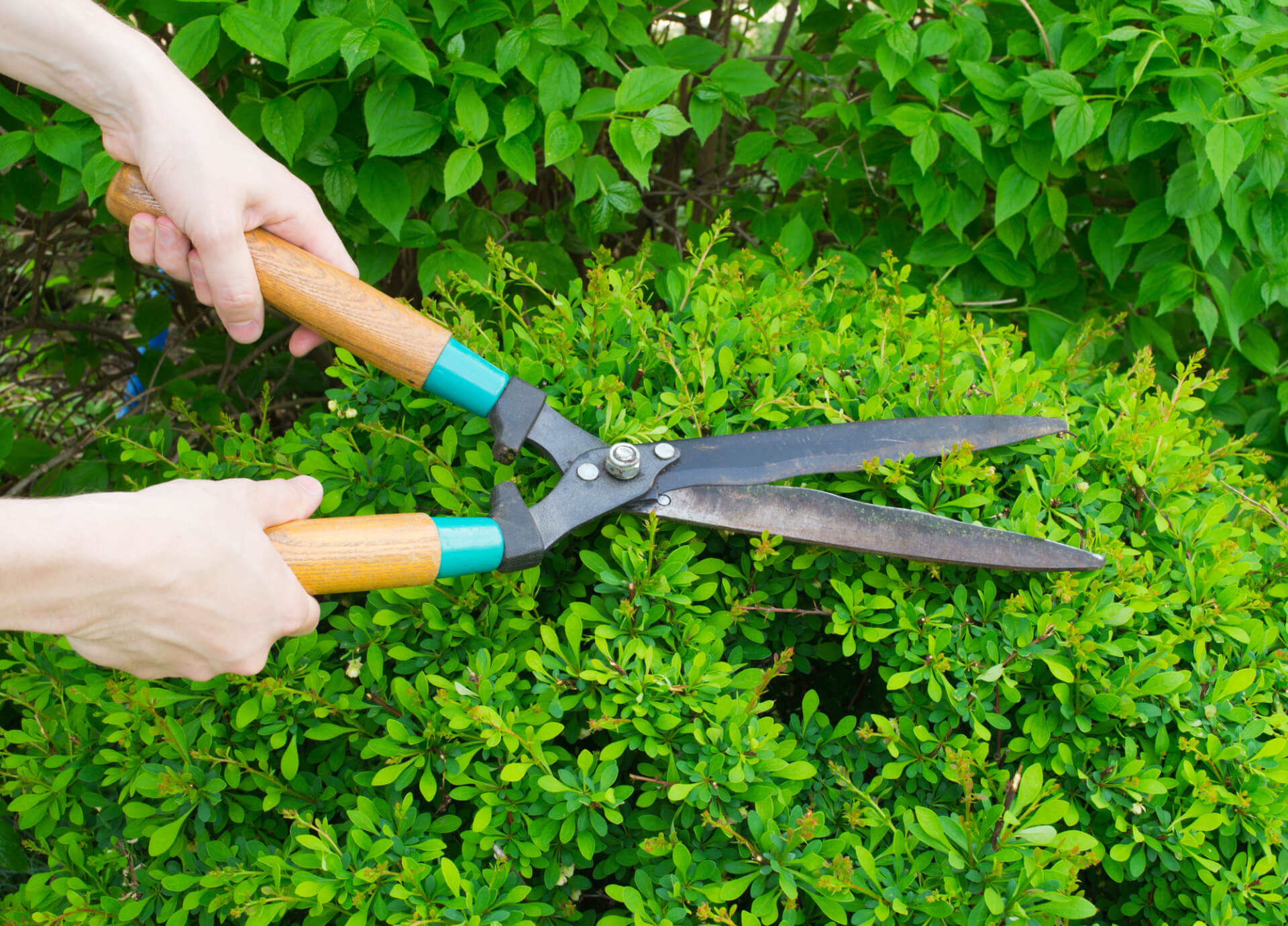 Gardening Hand Tools