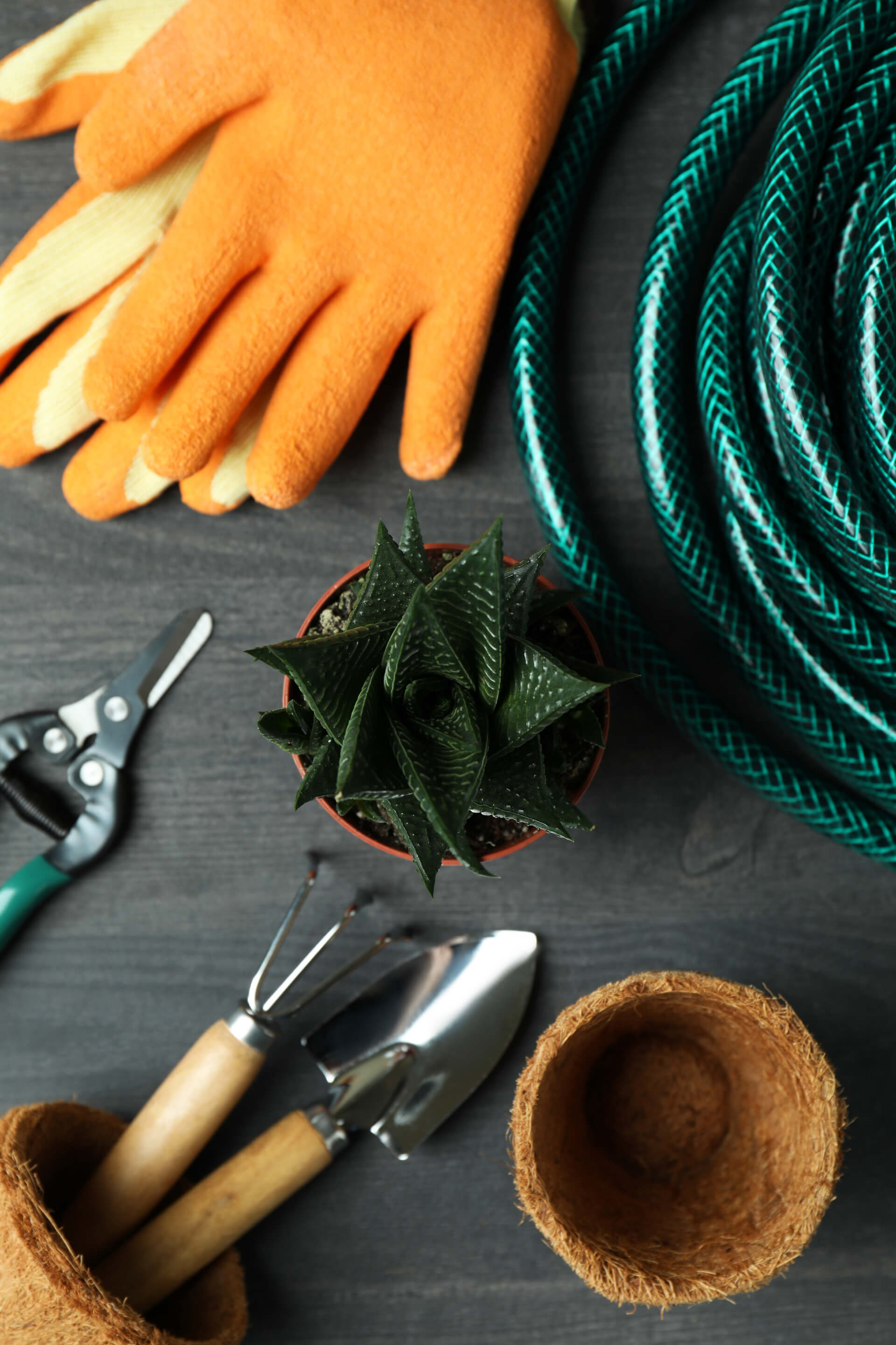 Gifts for the Garden