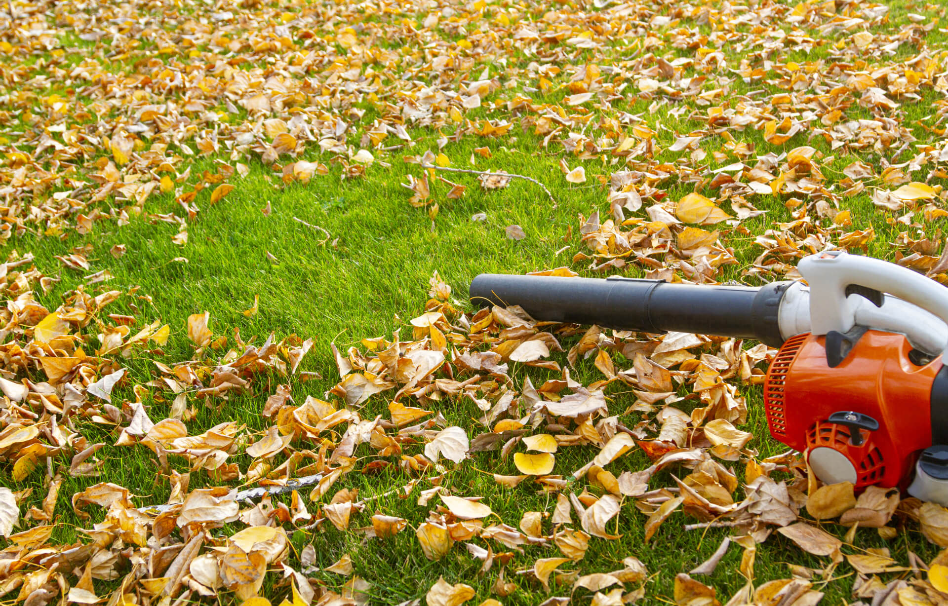 Leaf Blowers