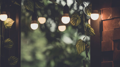 Lightbulbs