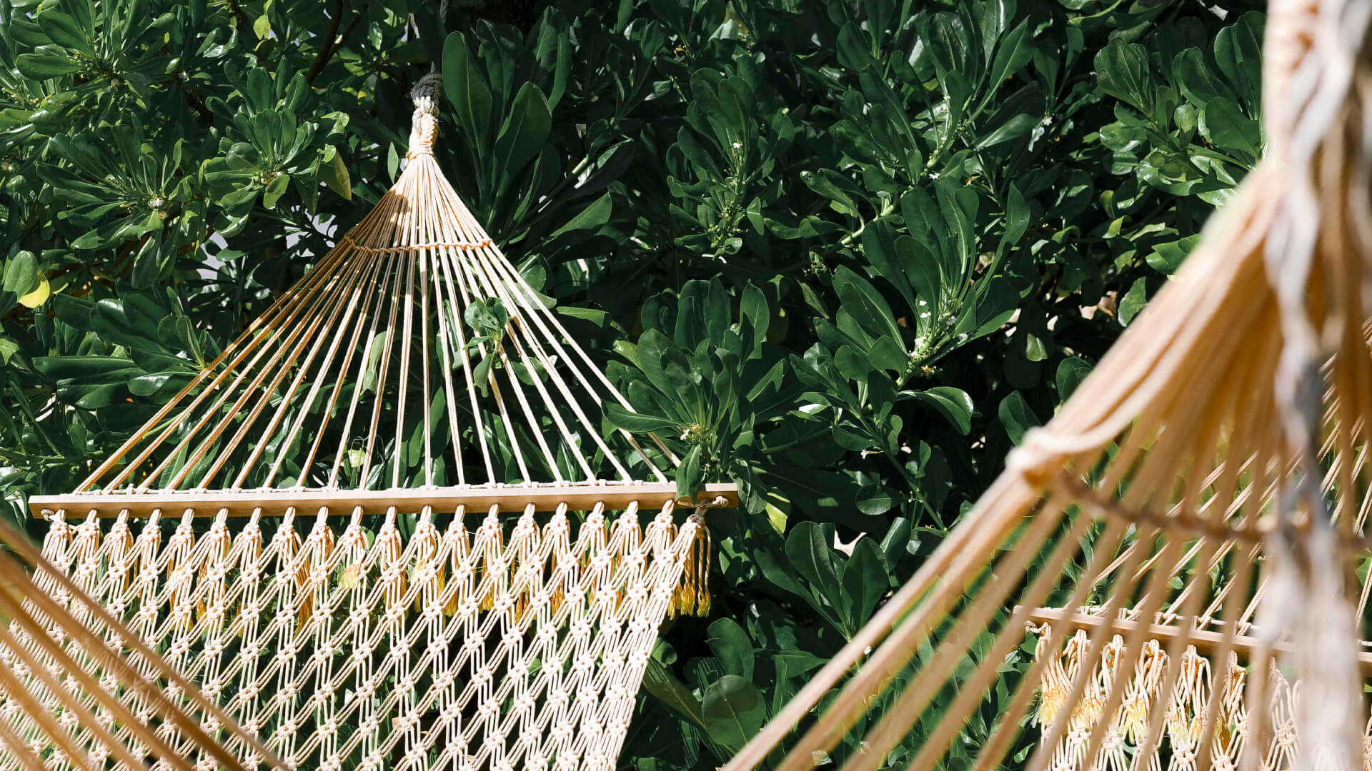 Loungers, Relaxers & Hammocks