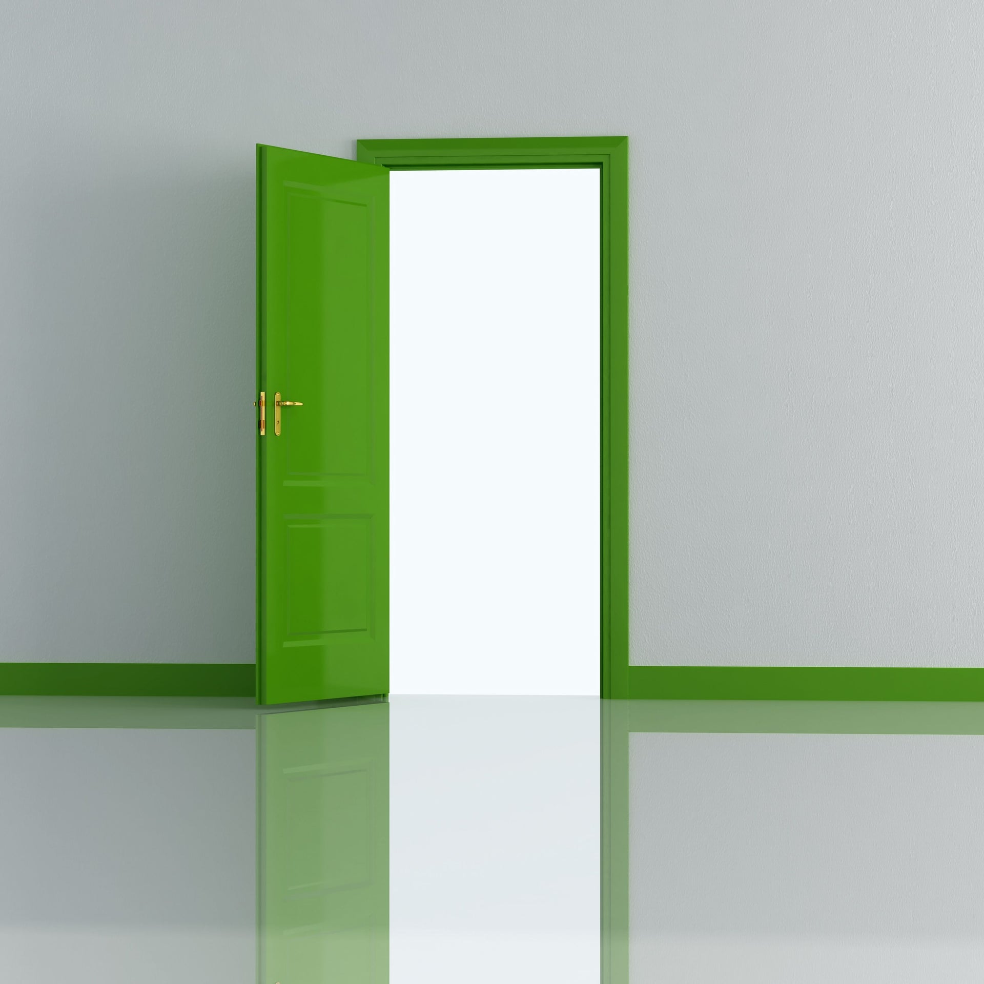 Paint Finished Doors