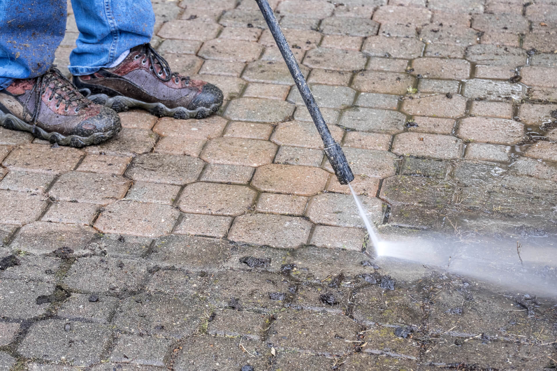 Path & Patio Cleaning