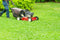 Plant & Lawn Care