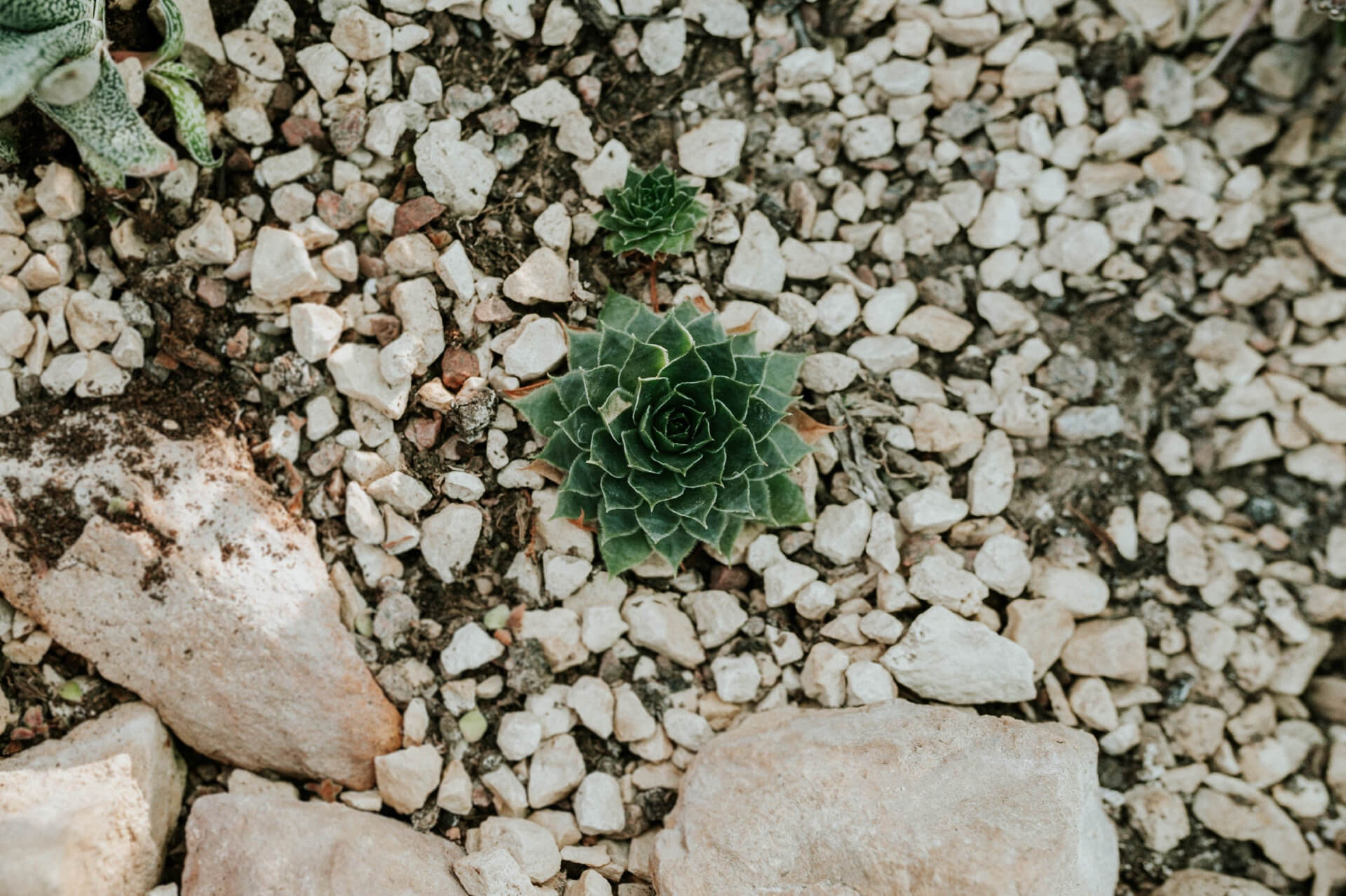Sand, Gravel & Decorative Stone