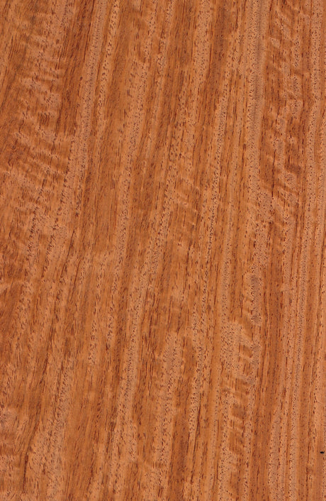 Satinwood
