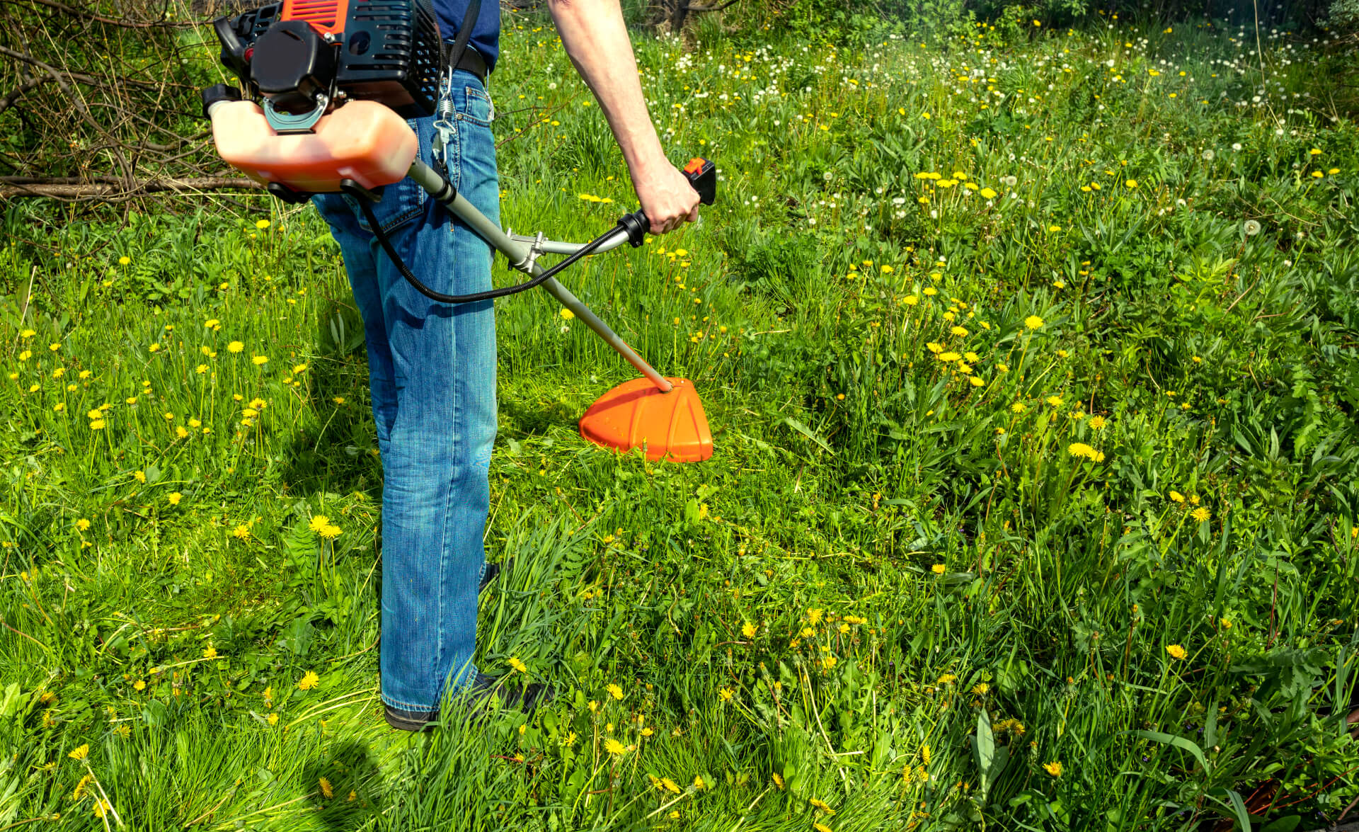 Strimmers & Brushcutters