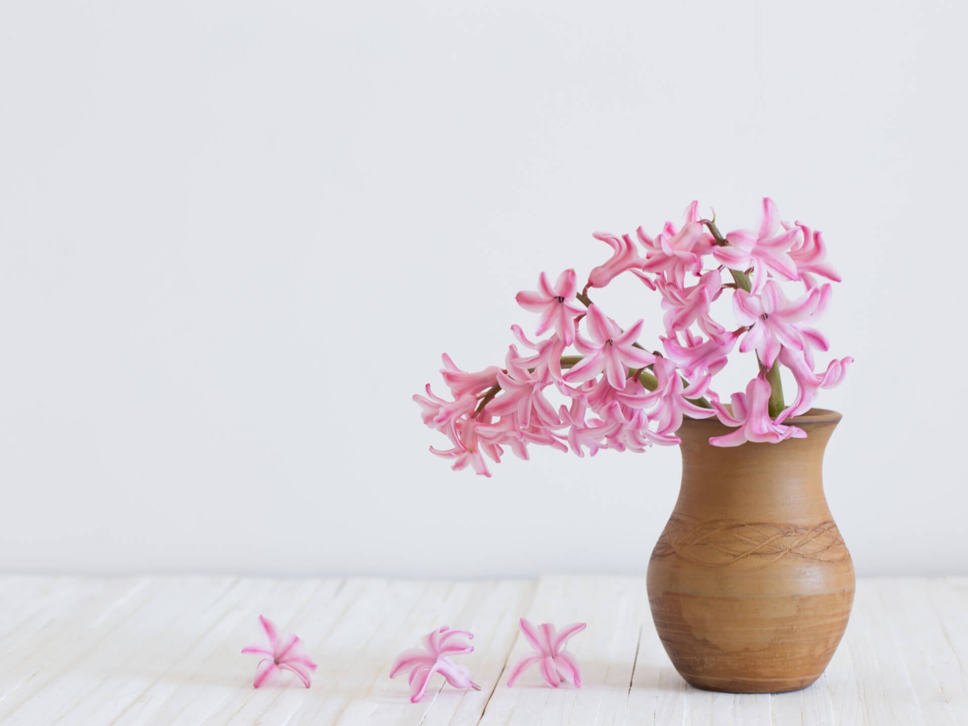 Vases & Bowls