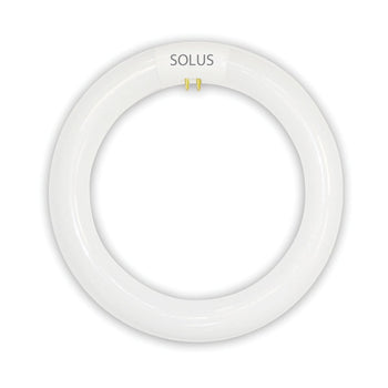 Solus 22W 4 PIN G10Q T9 Circular Tube | 002010S