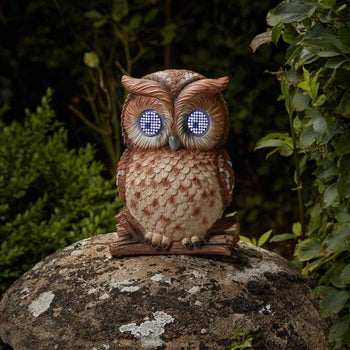Blinkin Owl | 1020042