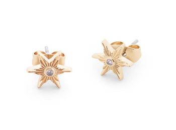 Tipperary Crystal Compass Star Stud Earrings - Gold | 165243