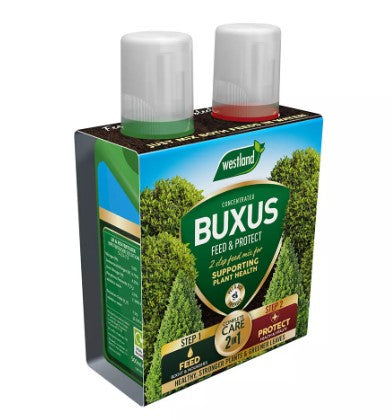 Westland Buxus 2 in 1 Feed & Protect 500ml | 20100418