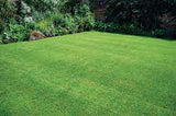 Germinal Leisure No 2 Lawn Seed 20kg | 4500512