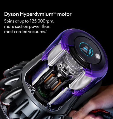 Dyson Outsize Absolute | 369364-01