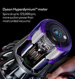 Dyson Outsize Absolute | 369364-01