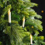 Indoor LED Candle Lights 2 Function Twinkle Effect | 485365