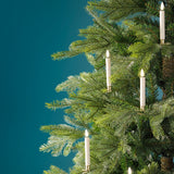 Indoor LED Candle Lights Box of 10 | 487576