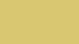 Floor Profile Flat Gold 1 (90cm) | 50009204370