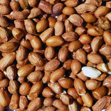Wild Bird Peanuts 20kg | BPEA20
