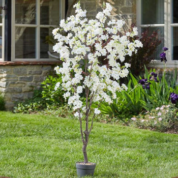 170cm Artificial White Cherry Tree | 5607016