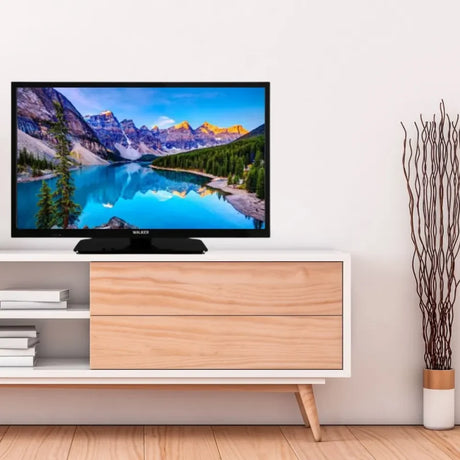 Walker 24" LED TV (NON SMART) | WPT24241SAT